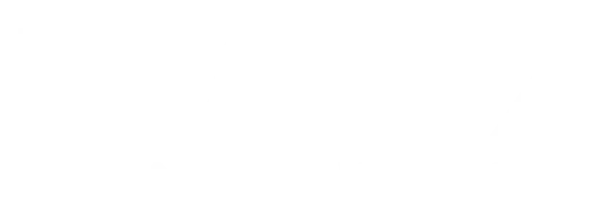 TW17 TransferWeeder logo white